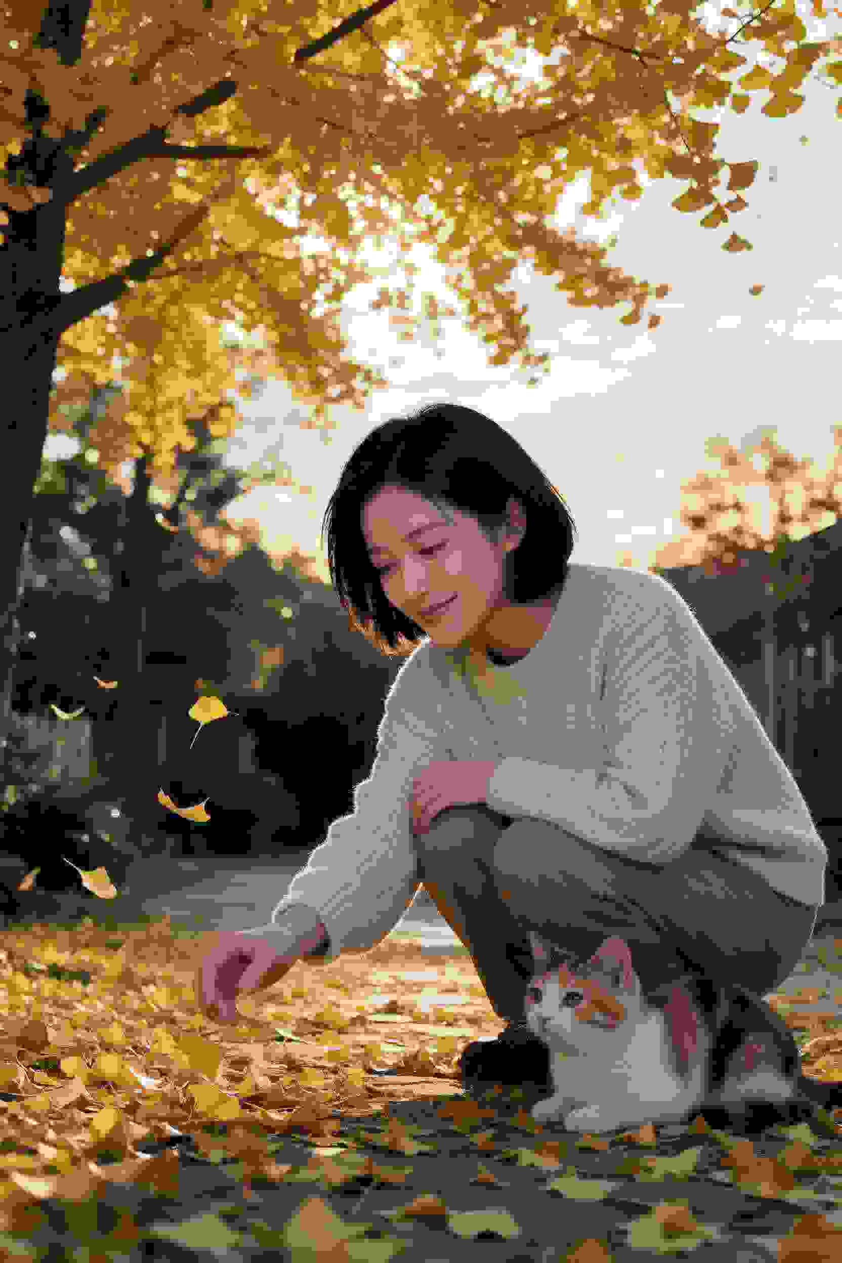 某科学的超电磁炮
